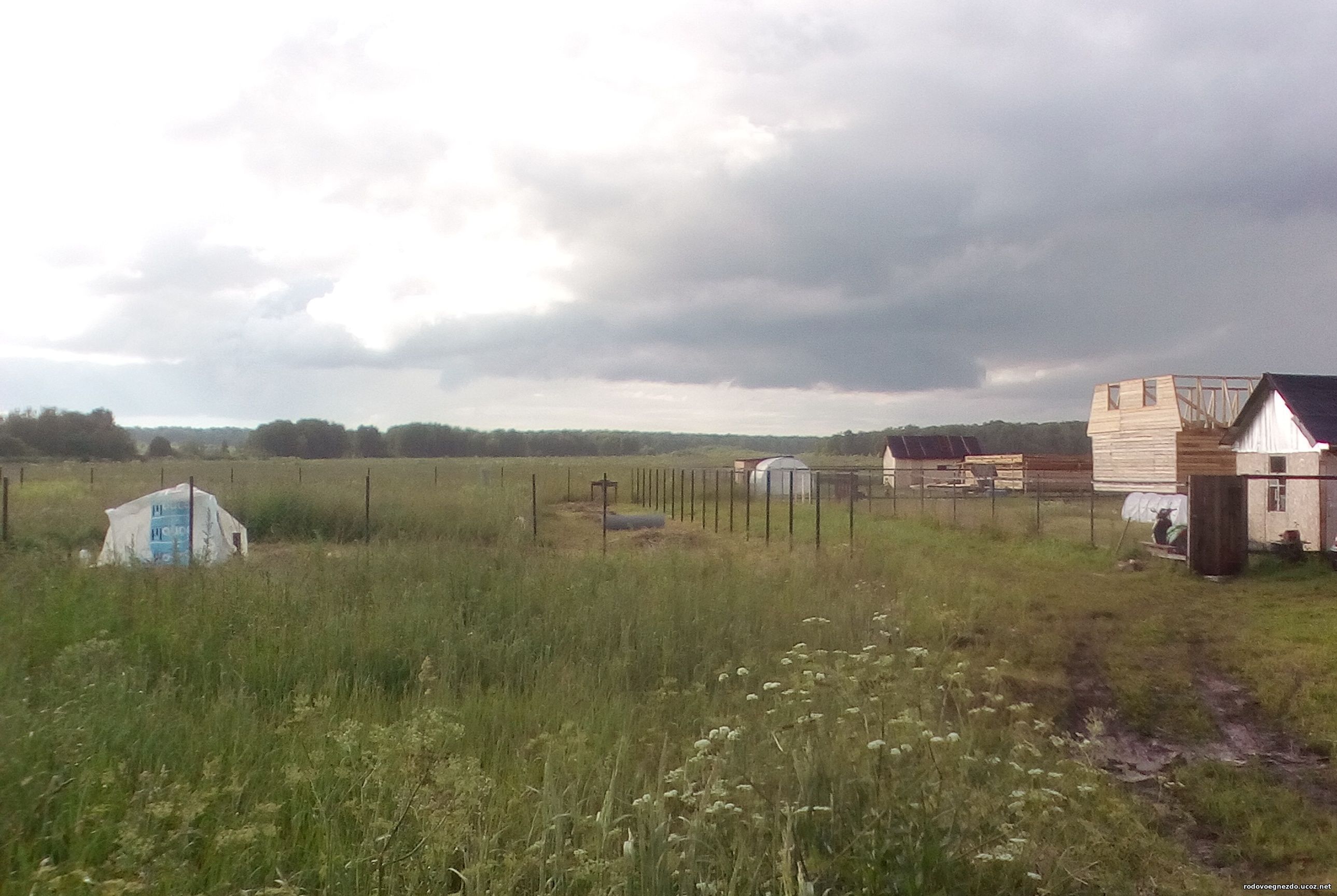 Ильино летом 1