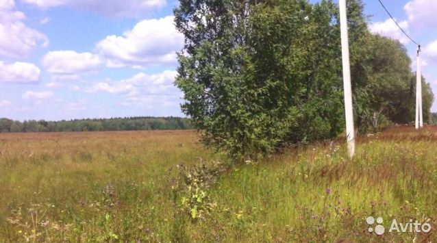 Ильино летом 2