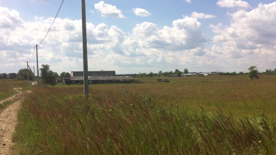 Ильино летом 3